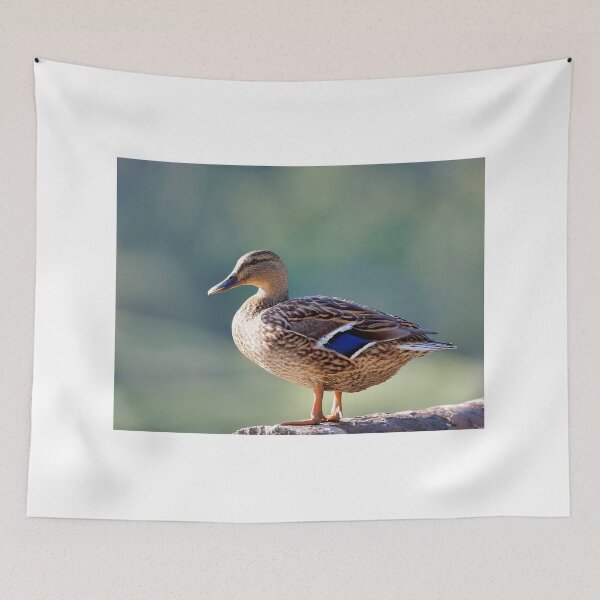 Item preview, Female Mallard  Anas-platyrhynchos designed and sold by Dorset Girl.