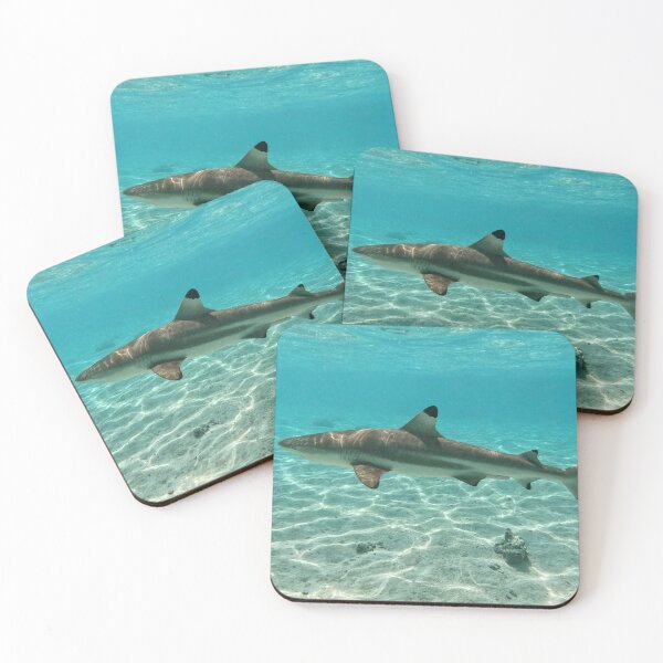 Item preview, Black tip reef shark in french Polynesia  designed and sold by Hawaii Wildlife & Landscape Prints.
