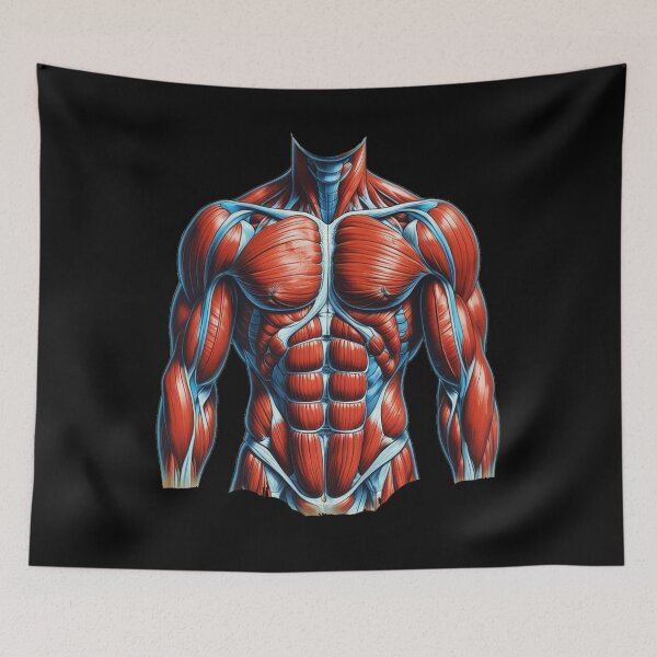 Item preview, Ultimate Muscular System Anatomy Illustration – Human Body Muscle Map for Fitness & Medical Enthusiasts designed and sold by medicalzone.