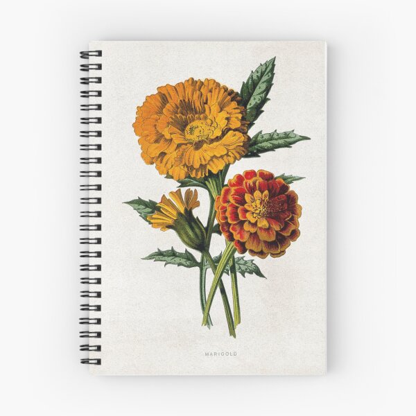 Item preview, Botanical Marigold designed and sold by BlueSpecsStudio.