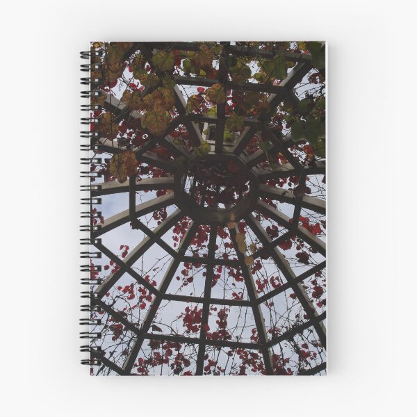 Item preview, Manmade web of wood with a splash of red designed and sold by aligata1970.