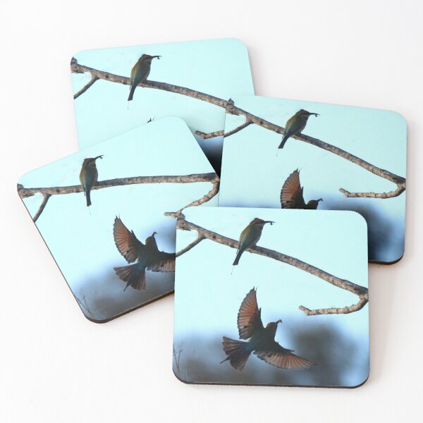 Item preview, Rainbow bee-eaters catching food designed and sold by BirdsAlive.