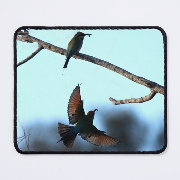 Item preview, Rainbow bee-eaters catching food designed and sold by BirdsAlive.