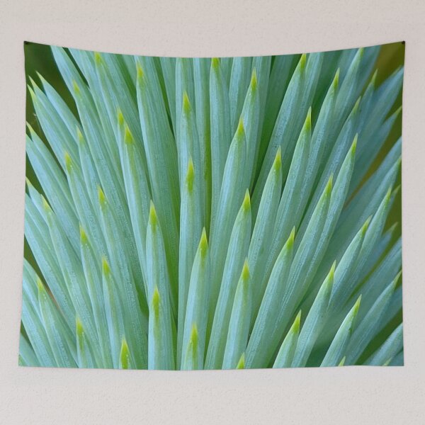 Item preview, Blue Spruce Tip designed and sold by bjtomiko.