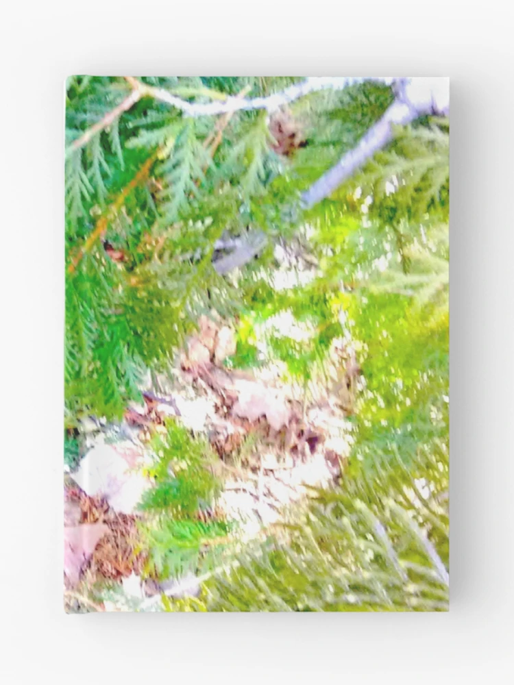 Thumbnail 1 of 3, Journal, cedar temple designed and sold by InfinitePathArt.