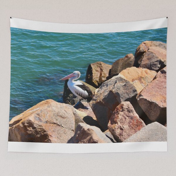 Item preview, Pelican on a Rock! designed and sold by Mickangelhere.
