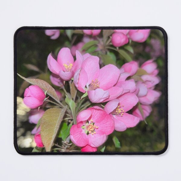 Item preview, A Burst of Springtime Joy designed and sold by Lana Magnolia.