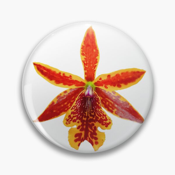 Item preview, Epicattleya volcano orchid designed and sold by ArteAnnie.