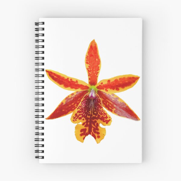 Item preview, Epicattleya volcano orchid designed and sold by ArteAnnie.
