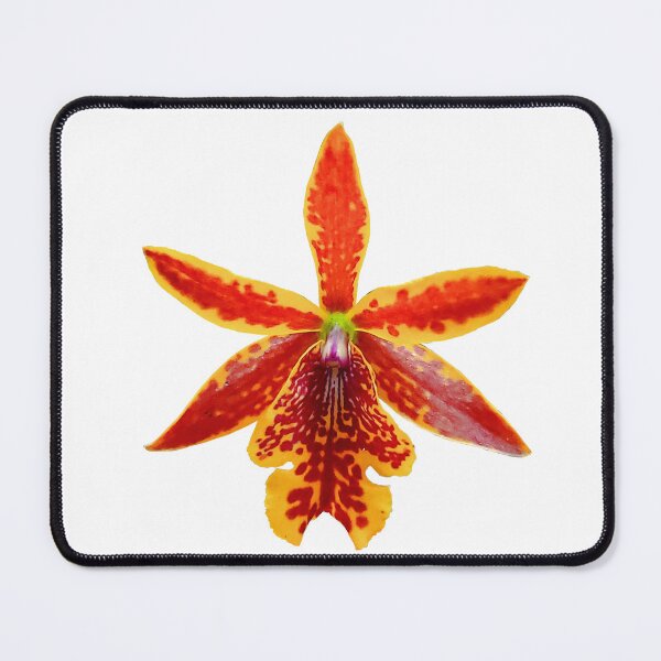 Item preview, Epicattleya volcano orchid designed and sold by ArteAnnie.
