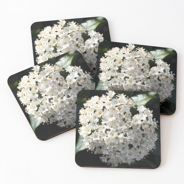 Item preview, spring flower designed and sold by KathleenDawson.