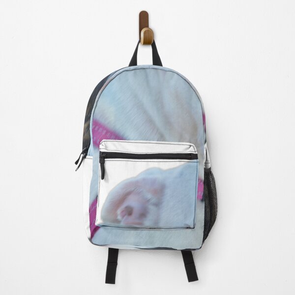Item preview, I am a girl, can't you see my harness designed and sold by Kerry LeBoutillier.