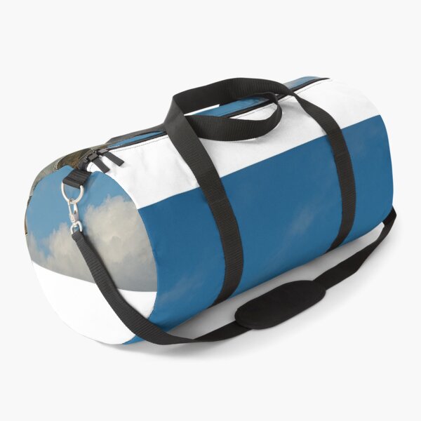Item preview, EE Lightning designed and sold by Skyframe Aviation.