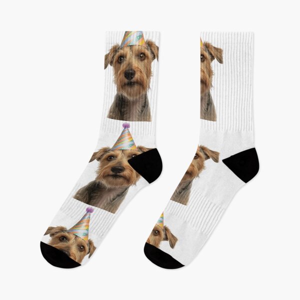 Item preview, Cute Lakeland Terrier dog with Party Hat Birthday Celebration designed and sold by LazyOwlStore.