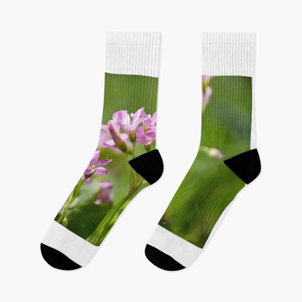 Item preview, Pink Wood Sorrel designed and sold by MercerImages.