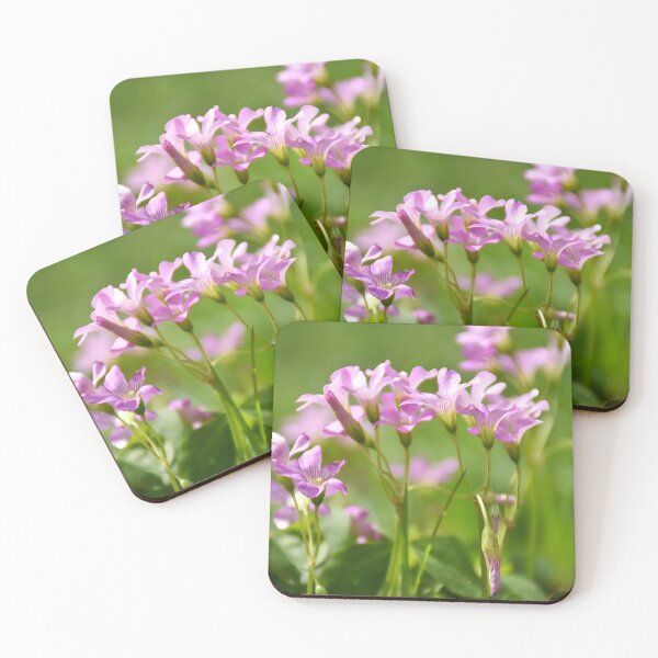 Item preview, Pink Wood Sorrel designed and sold by MercerImages.