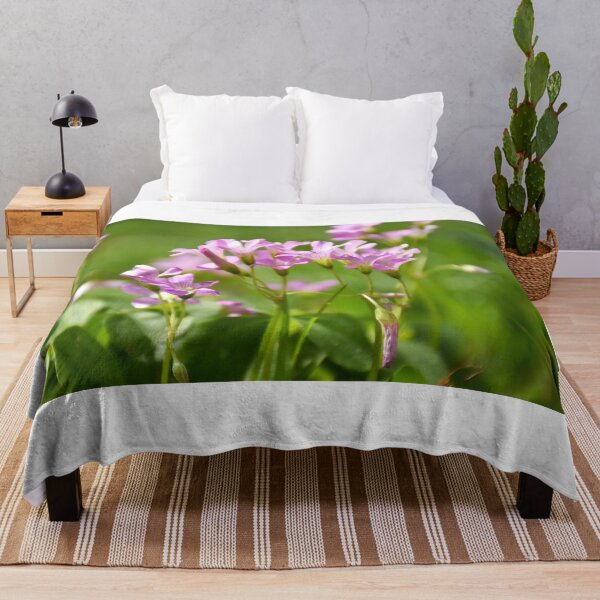 Item preview, Pink Wood Sorrel designed and sold by MercerImages.