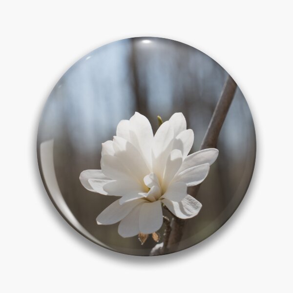 Item preview, Delicate White Magnolia Bloom in a Forest designed and sold by Georgia Mizuleva.