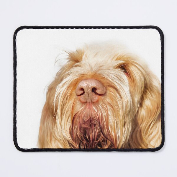 Item preview, Close-Up Italian Spinone Portrait – Gentle Soul by heidiannemorris © designed and sold by FOLK ART FUSION by heidiannemorris.