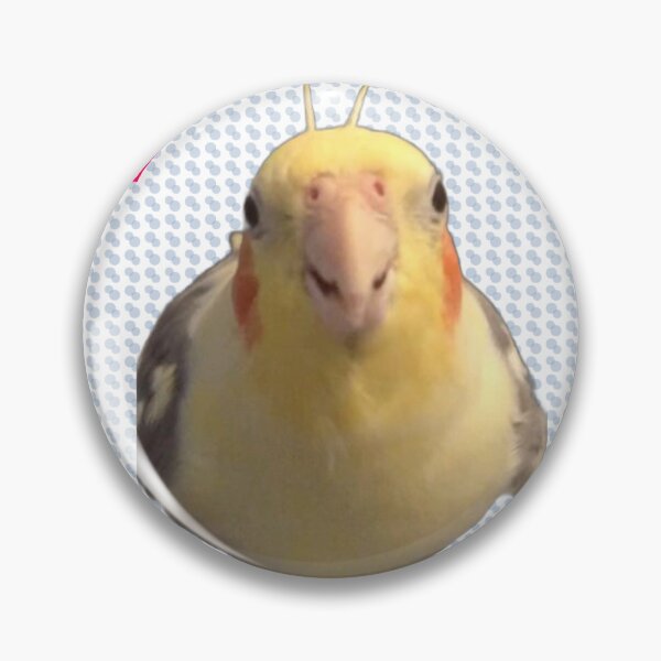 Item preview, Antics with Halo designed and sold by Arlo-Halo.