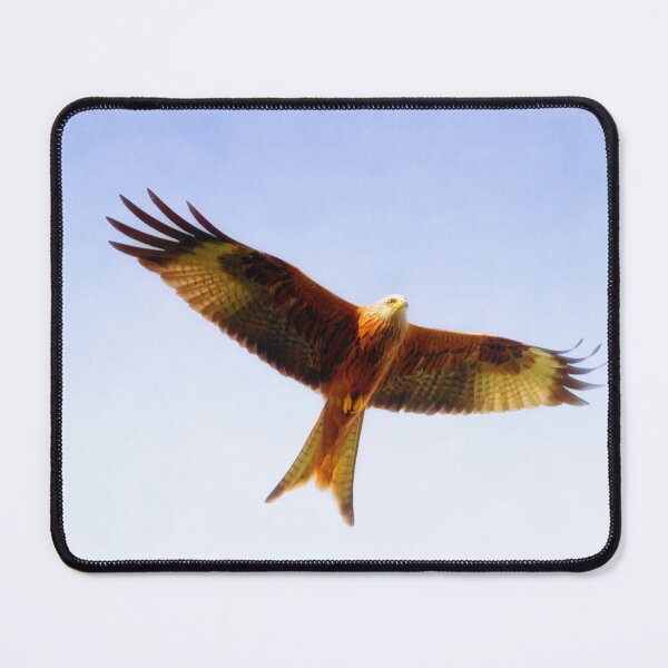 Item preview, Red Kite in Flight by heidiannemorris © designed and sold by FOLK ART FUSION by heidiannemorris.