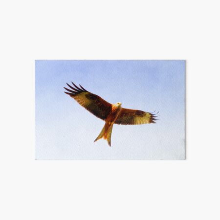 Item preview, Red Kite in Flight by heidiannemorris © designed and sold by FOLK ART FUSION by heidiannemorris.