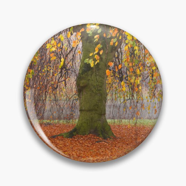 Item preview, Willow in the fall designed and sold by Photopat.