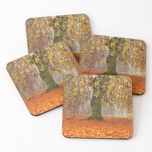 Item preview, Willow in the fall designed and sold by Photopat.