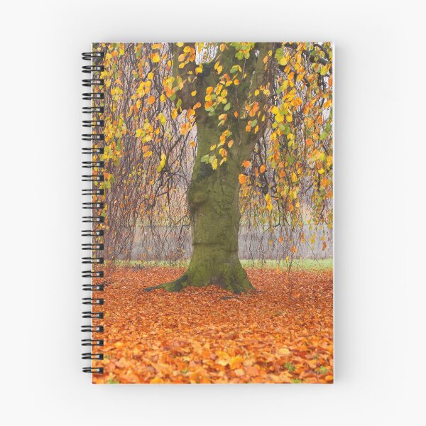 Item preview, Willow in the fall designed and sold by Photopat.