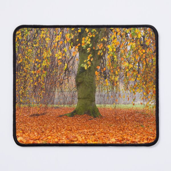 Item preview, Willow in the fall designed and sold by Photopat.