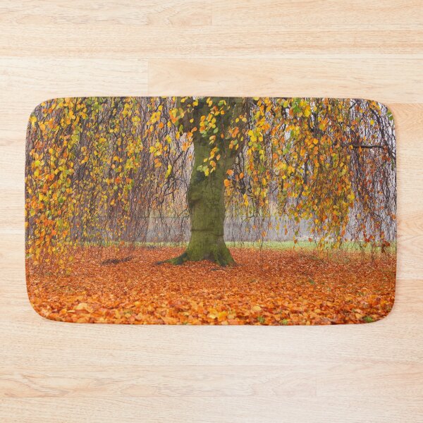 Item preview, Willow in the fall designed and sold by Photopat.