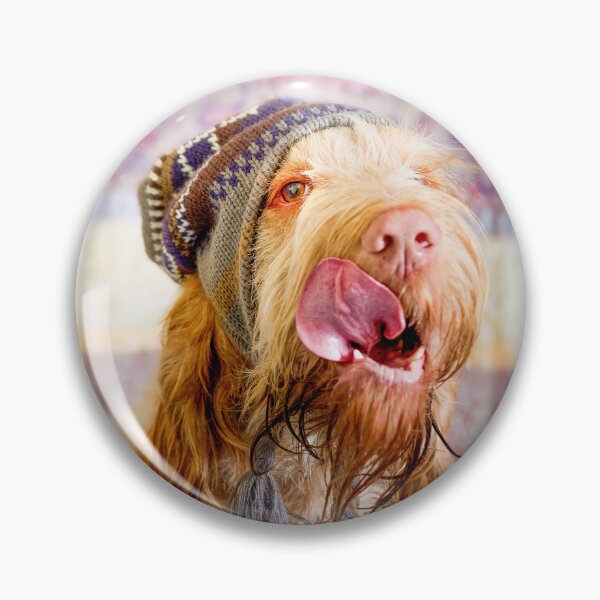 Item preview, Delicious Spinone wearing a bobble Hat by heidiannemorris © designed and sold by FOLK ART FUSION by heidiannemorris.