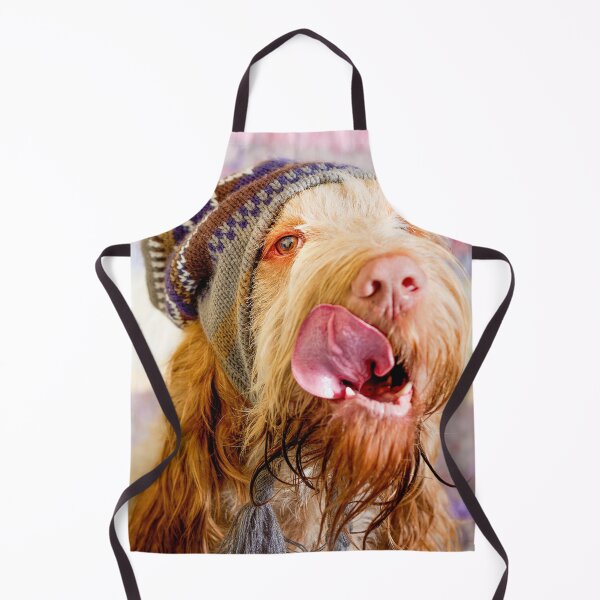 Item preview, Delicious Spinone wearing a bobble Hat by heidiannemorris © designed and sold by FOLK ART FUSION by heidiannemorris.