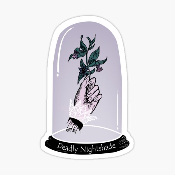 Item preview, Atropa Belladona, Deadly Nightshade designed and sold by witchlingart.