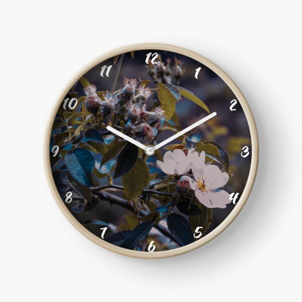 The most rare and beautiful Reloj