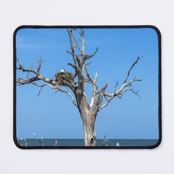 Item preview, One Big Nest designed and sold by Craig Kauzmann.