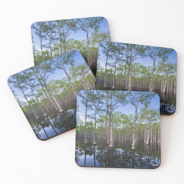 Item preview, The "Floating" Trees of George L. Smith State Park in Georgia designed and sold by Craig Kauzmann.