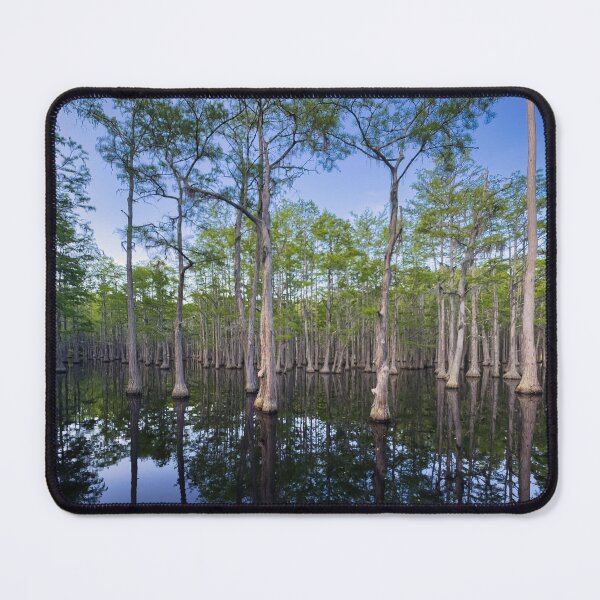 Item preview, The "Floating" Trees of George L. Smith State Park in Georgia designed and sold by Craig Kauzmann.