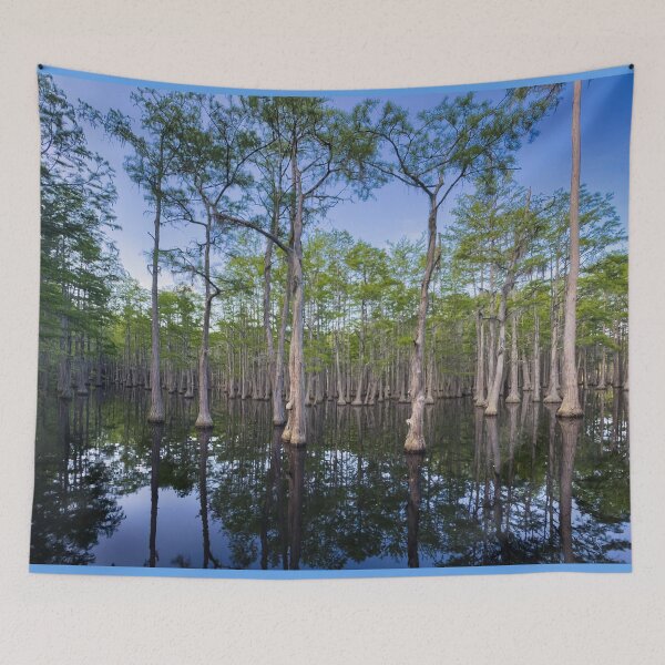 Item preview, The "Floating" Trees of George L. Smith State Park in Georgia designed and sold by Craig Kauzmann.