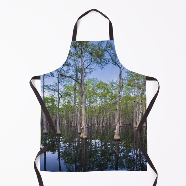 Item preview, The "Floating" Trees of George L. Smith State Park in Georgia designed and sold by Craig Kauzmann.