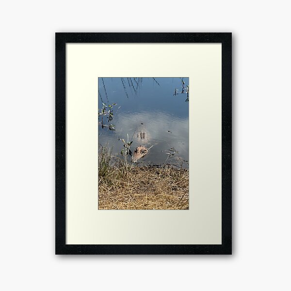 Item preview, Alligator designed and sold by Craig Kauzmann.