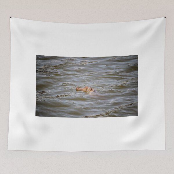 Item preview, Young Alligator designed and sold by Cynthia48.