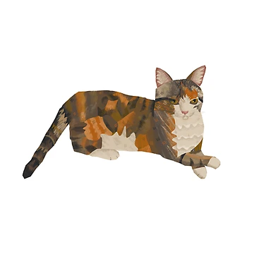 Artwork thumbnail, Calico Cat by Ruby Mae