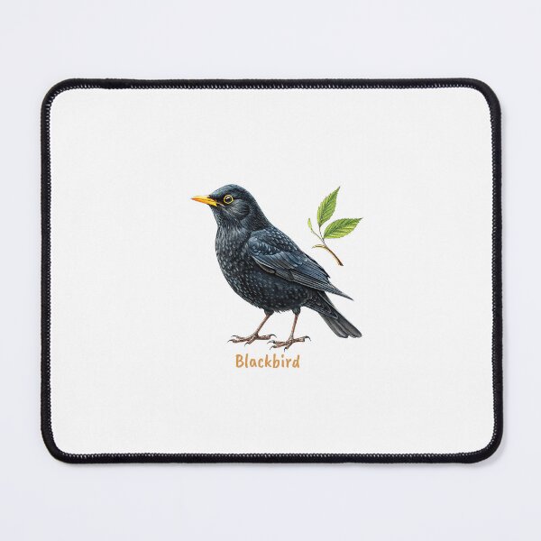 Item preview, Cute Blackbird bird, Garden Bird designed and sold by iclipart.