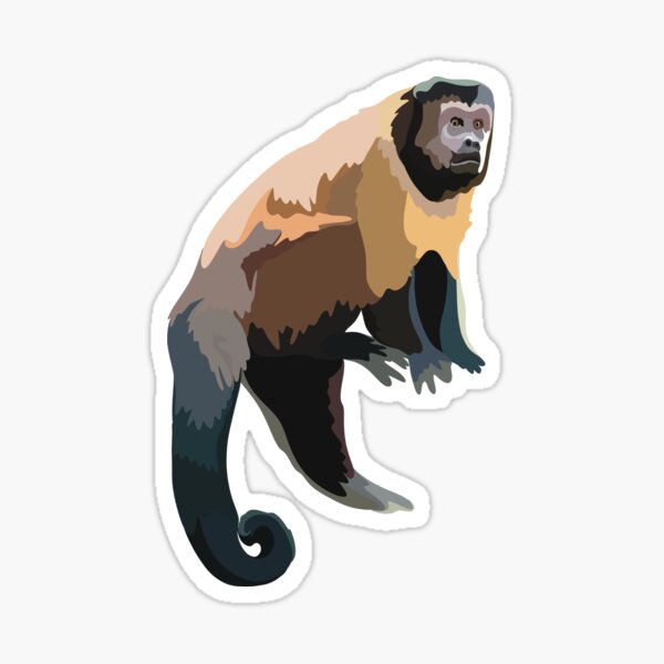 Item preview, T steht für Haubenkapuziner, Haubenkapuziner-Design – Niedliche und clevere Affenkunst designed and sold by PrettylittlepastelUk.