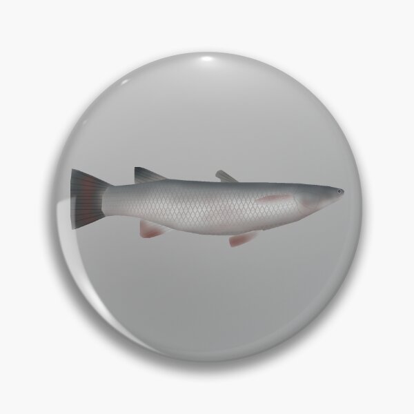 Item preview, Corsula designed and sold by fishfolkart.