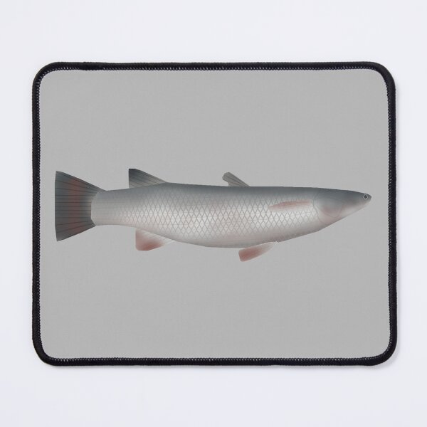 Item preview, Corsula designed and sold by fishfolkart.