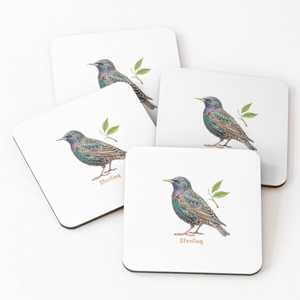 Item preview, Cute Starling bird, Garden Bird designed and sold by iclipart.