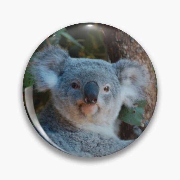 Item preview, Koala designed and sold by CreativeSoup.