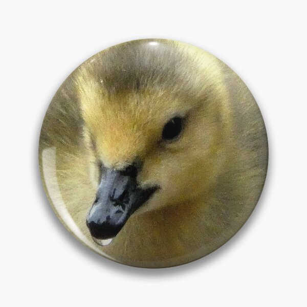 Item preview, Dribbling Fluffy duckling  designed and sold by jeffborrer.